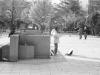 2005年11月13日 大通公園